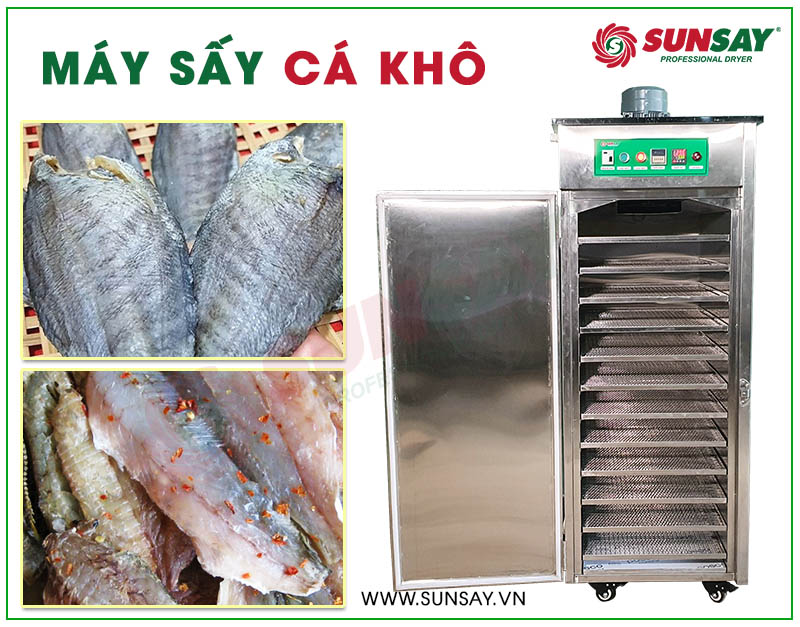 Máy sấy cá khô giá rẻ