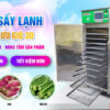 Máy sấy lạnh đối lưu 12 khay sấy đa dạng các loại thực phẩm, trái cây