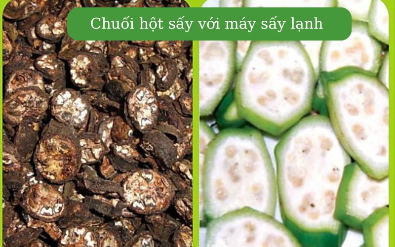 Sản phẩm chuối hột sấy từ máy sấy lạnh