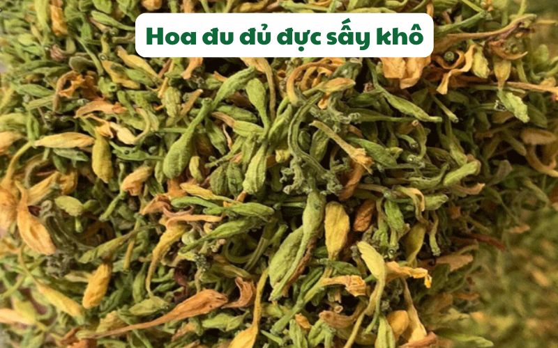 Sản phẩm hoa đu đủ đực sấy khô từ máy sấy lạnh SUNSAY