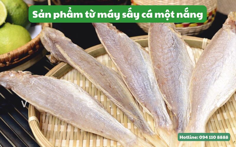 Sản phẩm từ máy sấy cá khô một nắng