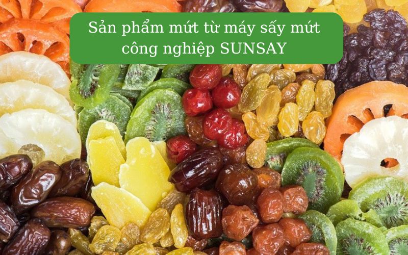 Sản phẩm từ máy sấy mứt công nghiệp SUNSAY