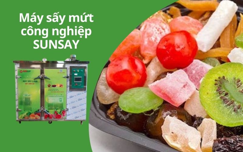 Máy sấy mứt công nghiệp SUNSAY