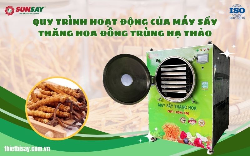 Quy trình hoạt động của máy sấy thăng hoa đông trùng hạ thảo