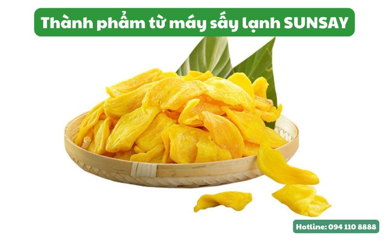 Thành phẩm mít sấy dẻo từ máy sấy lạnh SUNSAY