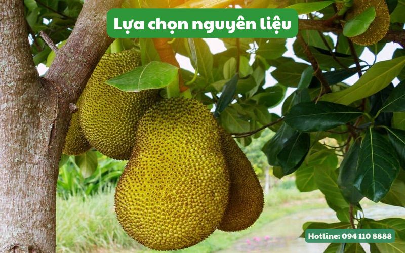 Lựa chọn nguyên liệu