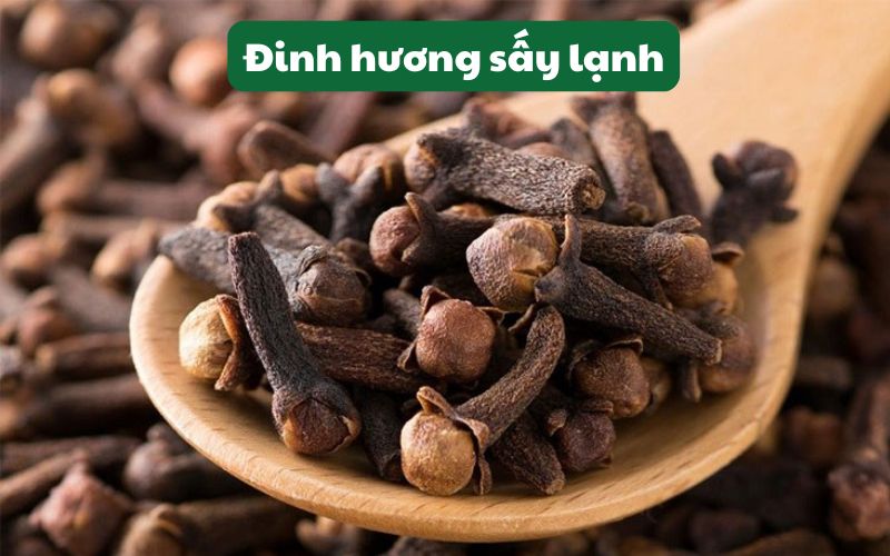 Sản phẩm đinh hương sấy từ máy sấy lạnh SUNSAY