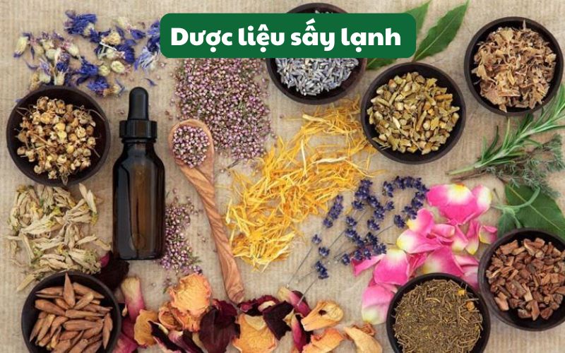 Dược liệu chứa tinh dầu bằng máy sấy lạnh SUNSAY giữ nguyên được màu sắc, dược tính