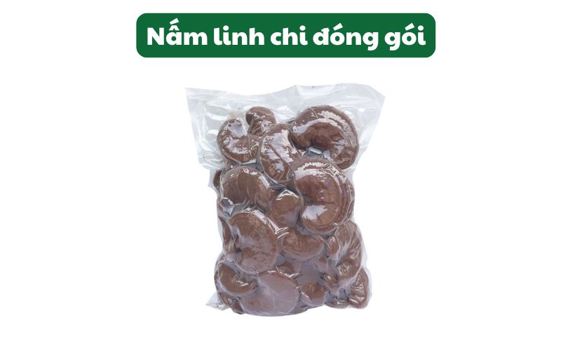 Nấm linh chi sấy được bảo quản với túi hút chân không