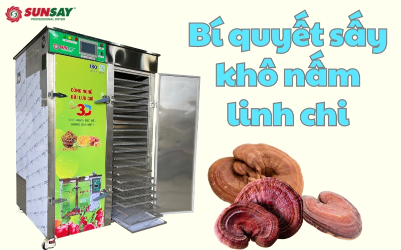 Bí quyết sấy khô nấm linh chi để tăng giá trị kinh tế