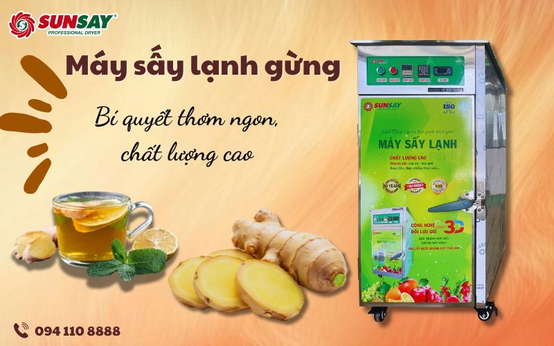 Máy sấy lạnh trà gừng